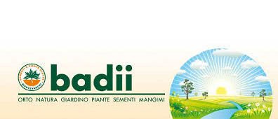 badii-logo